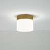 Plafón CONGO con difusor acrílico y acabado latón. Ø10cm.LED 6W|Sulion