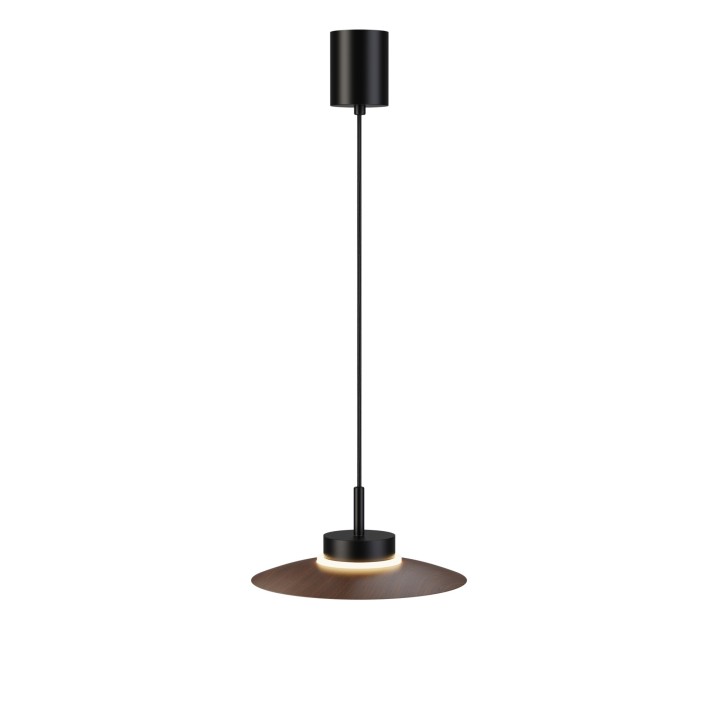 Lámpara de techo CARMEN. Metal plano S madera y módulo negro. LED 9W