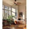Ventilador de techo ALMA S 5 palas luz marrón y madera media Sulion
