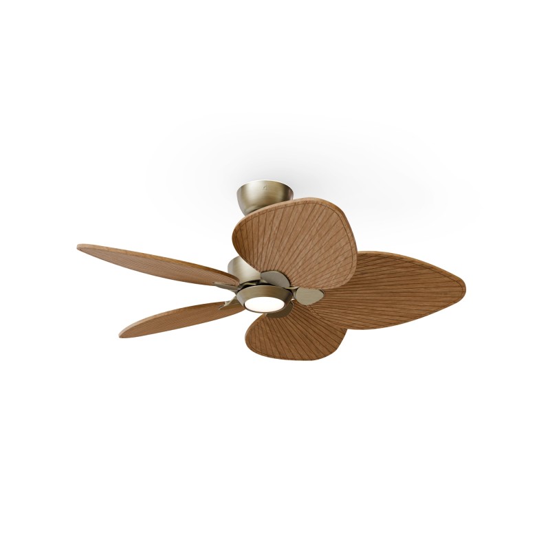 Ventilador de techo ALMA S 5 palas luz latón y madera media - Sulion