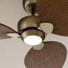 Ventilador de techo ALMA L 3 palas luz latón y madera oscura