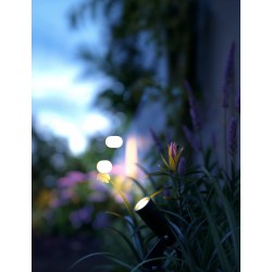 PROYECTOR THIN ELITE