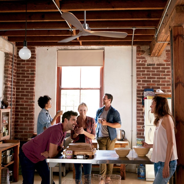 Ventilador de techo exterior NATI L níquel y madera oscura - Sulion