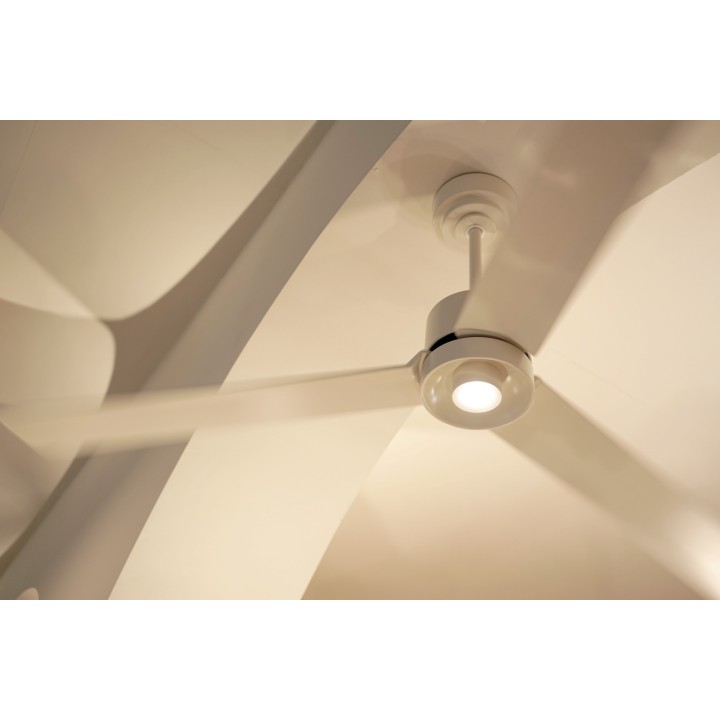Ventilador ANNE XL blanco palas blancas luz focal – Sulion