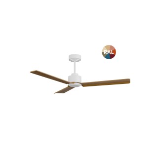ANNE