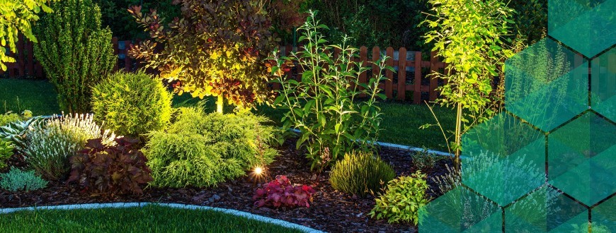 Bañadores y Pinchos