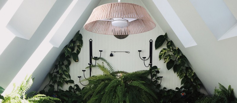 Cómo iniciar la transición ecológica en tu hogar o negocio 