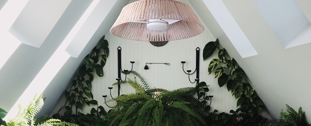 Cómo iniciar la transición ecológica en tu hogar o negocio 