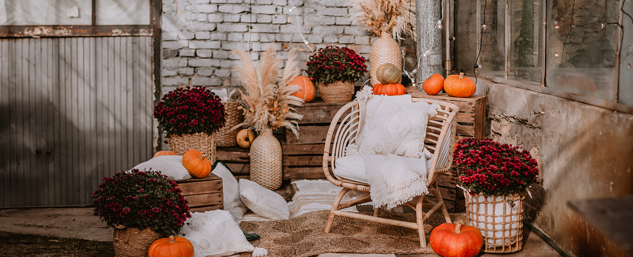 TENDENCIAS DE OTOÑO 2023 : Luz cálida y elementos orgánicos.