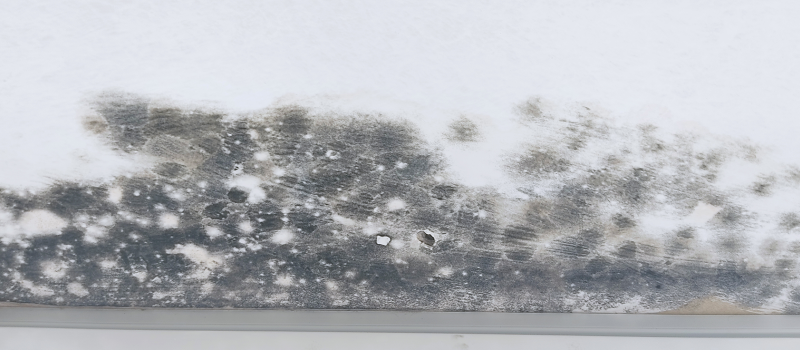 ¿Problemas de humedad? Los ventiladores de techo son la solución.